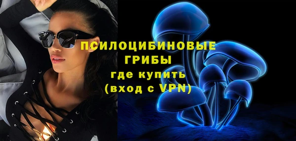 гидра Заводоуковск