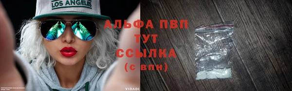 гидра Заводоуковск