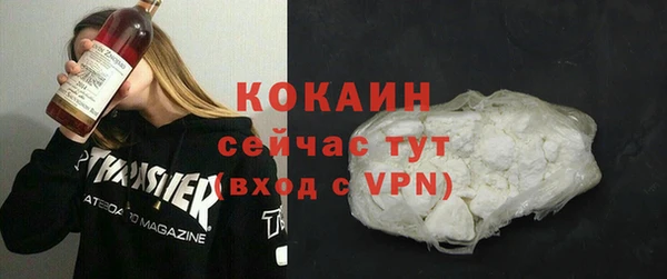 гидра Заводоуковск