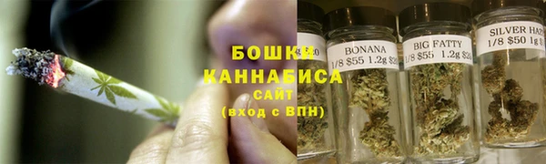 гидра Заводоуковск