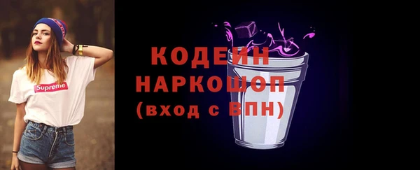 гидра Заводоуковск