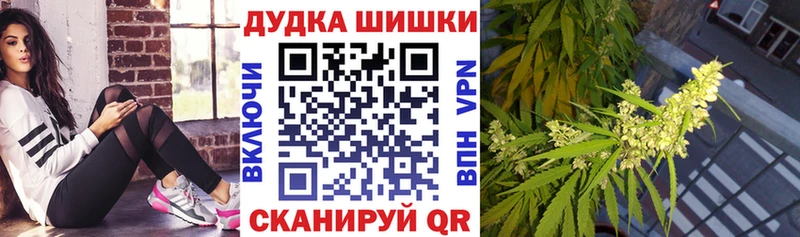 хочу kraken зеркало Шишки марихуана марихуана Мезень